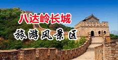 jj.www逼逼网站中国北京-八达岭长城旅游风景区